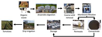 Digestate Biofertilizers Support Similar or Higher Tomato Yields and Quality Than Mineral Fertilizer in a Subsurface Drip Fertigation System